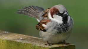 Zaujímavé fakty o oblastiach v teréne, ktoré mnohí ľudia nevie